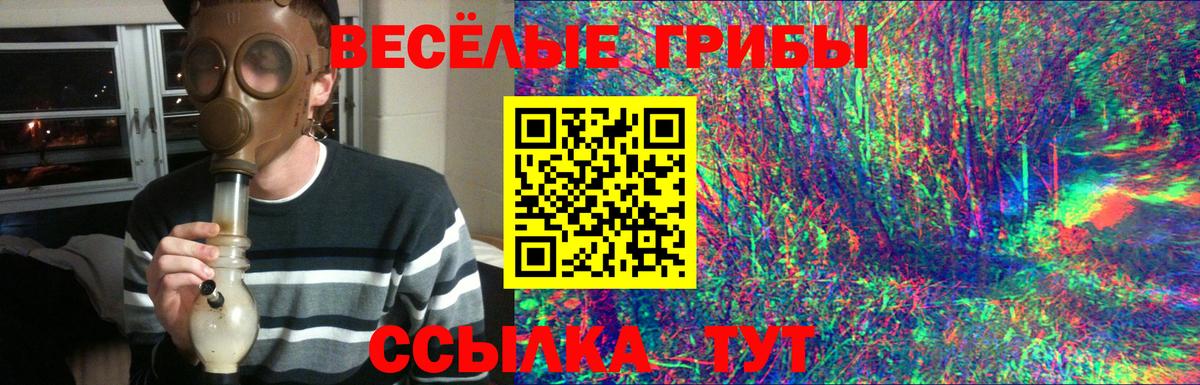 Псилоцибиновые грибы GOLDEN TEACHER  Псилоцибиновые грибы Psilocybine cubensis  Вход с VPN  Котлас 